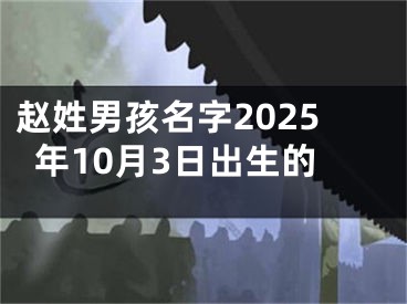 赵姓男孩名字2025年10月3日出生的