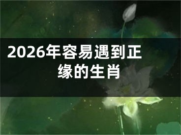 2026年容易遇到正缘的生肖