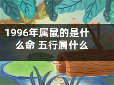 1996年属鼠的是什么命 五行属什么