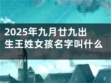 2025年九月廿九出生王姓女孩名字叫什么