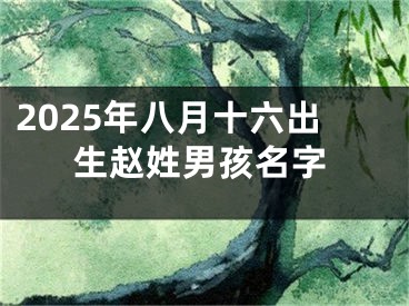 2025年八月十六出生赵姓男孩名字