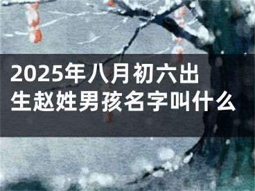 2025年八月初六出生赵姓男孩名字叫什么