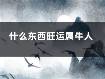 什么东西旺运属牛人