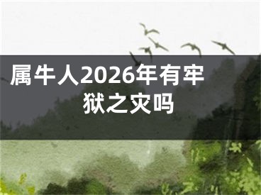 属牛人2026年有牢狱之灾吗