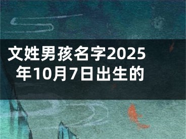 文姓男孩名字2025年10月7日出生的