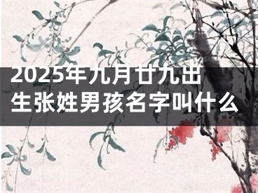 2025年九月廿九出生张姓男孩名字叫什么