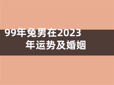 99年兔男在2023年运势及婚姻