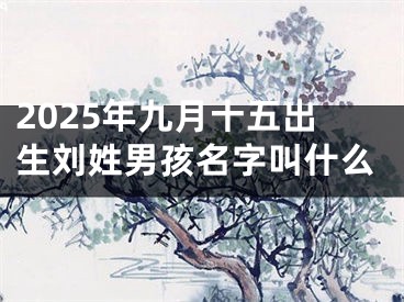 2025年九月十五出生刘姓男孩名字叫什么