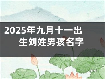 2025年九月十一出生刘姓男孩名字