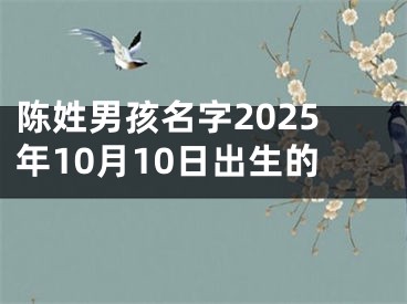 陈姓男孩名字2025年10月10日出生的