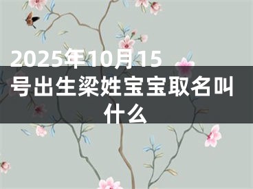 2025年10月15号出生梁姓宝宝取名叫什么