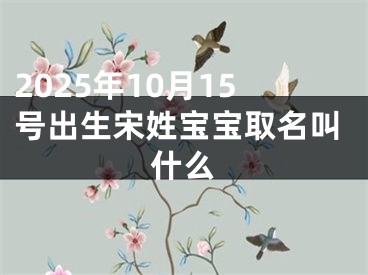 2025年10月15号出生宋姓宝宝取名叫什么