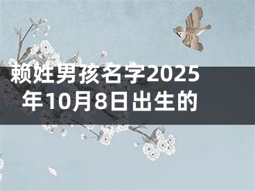 赖姓男孩名字2025年10月8日出生的