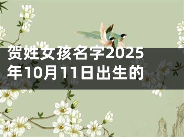 贺姓女孩名字2025年10月11日出生的