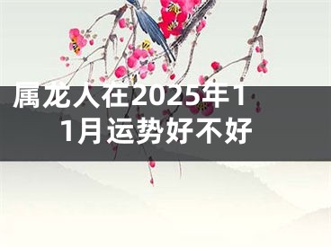 属龙人在2025年11月运势好不好