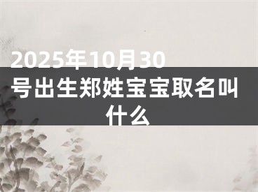 2025年10月30号出生郑姓宝宝取名叫什么
