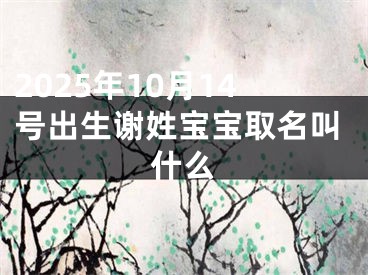2025年10月14号出生谢姓宝宝取名叫什么