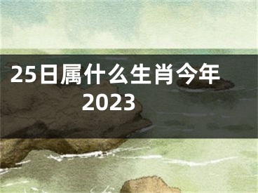 25日属什么生肖今年2023