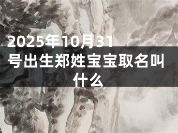 2025年10月31号出生郑姓宝宝取名叫什么