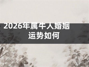2026年属牛人婚姻运势如何
