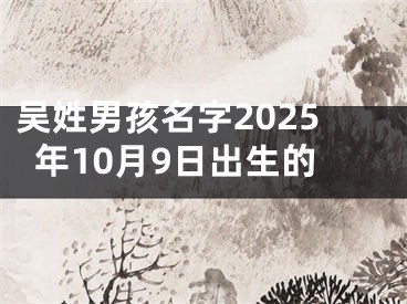 吴姓男孩名字2025年10月9日出生的