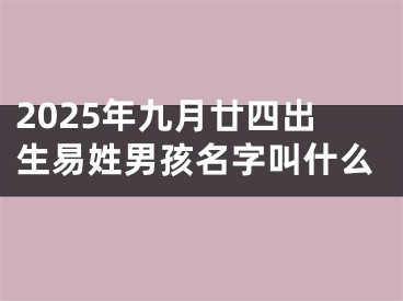 2025年九月廿四出生易姓男孩名字叫什么