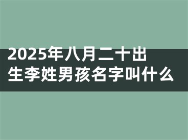 2025年八月二十出生李姓男孩名字叫什么