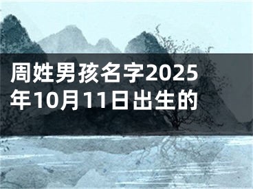 周姓男孩名字2025年10月11日出生的