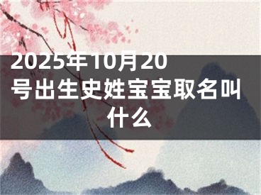 2025年10月20号出生史姓宝宝取名叫什么
