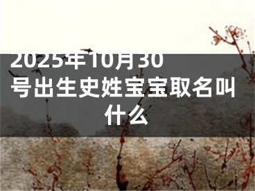 2025年10月30号出生史姓宝宝取名叫什么