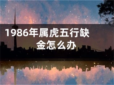 1986年属虎五行缺金怎么办