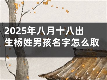 2025年八月十八出生杨姓男孩名字怎么取