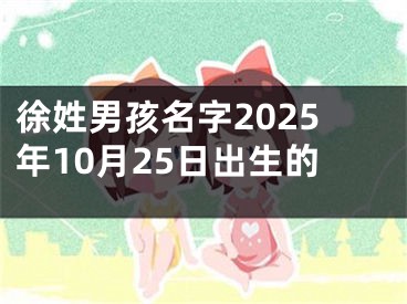 徐姓男孩名字2025年10月25日出生的