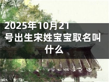 2025年10月21号出生宋姓宝宝取名叫什么