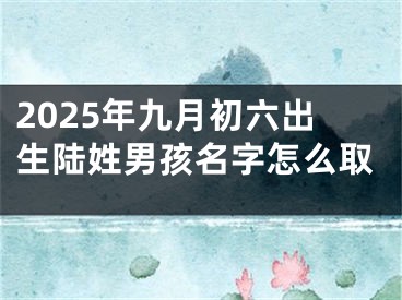 2025年九月初六出生陆姓男孩名字怎么取