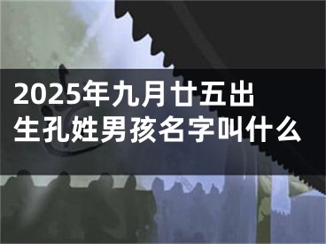 2025年九月廿五出生孔姓男孩名字叫什么