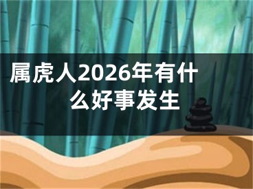 属虎人2026年有什么好事发生