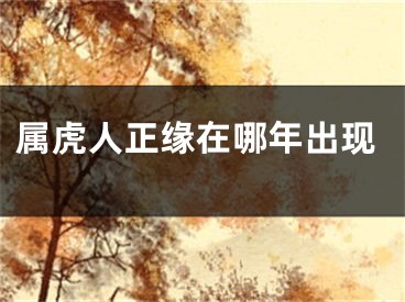 属虎人正缘在哪年出现