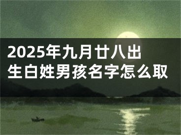 2025年九月廿八出生白姓男孩名字怎么取 