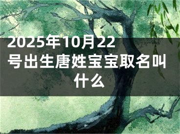 2025年10月22号出生唐姓宝宝取名叫什么 