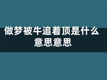 做梦被牛追着顶是什么意思意思