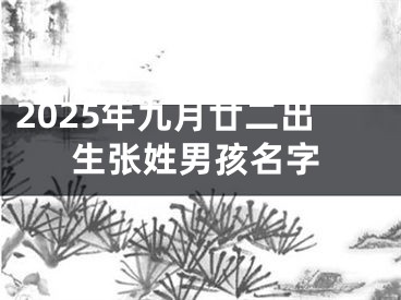 2025年九月廿二出生张姓男孩名字