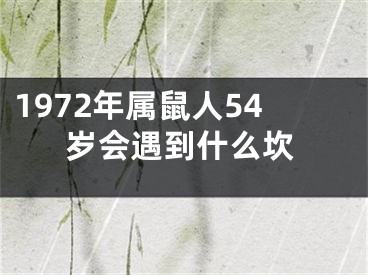 1972年属鼠人54岁会遇到什么坎