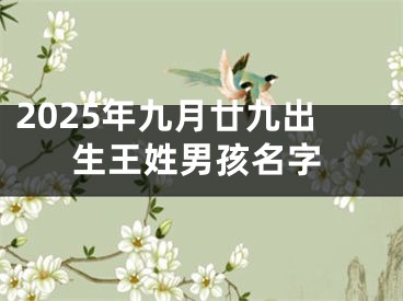 2025年九月廿九出生王姓男孩名字