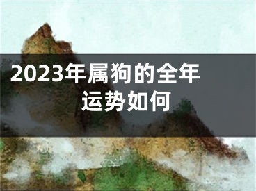 2023年属狗的全年运势如何