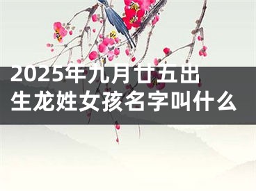 2025年九月廿五出生龙姓女孩名字叫什么