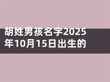胡姓男孩名字2025年10月15日出生的
