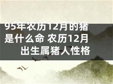 95年农历12月的猪是什么命 农历12月出生属猪人性格