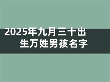 2025年九月三十出生万姓男孩名字