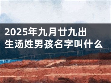 2025年九月廿九出生汤姓男孩名字叫什么